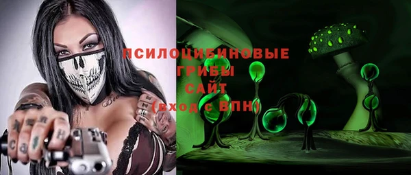 мяу мяу мука Белокуриха