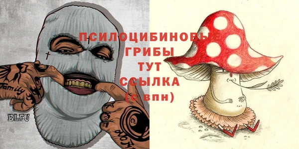 шишки Тавда