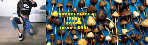 гидропоника Снежногорск