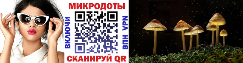 Галлюциногенные грибы мухоморы  купить   Чапаевск 